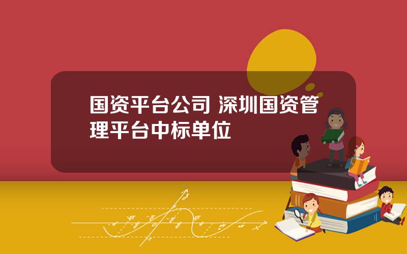 国资平台公司 深圳国资管理平台中标单位